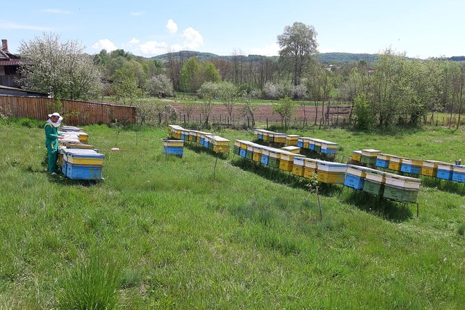 Beekeeping Day Trip| Private Guided Tour from Bucharest - Bucharest to Valcea County, a long day on purpose