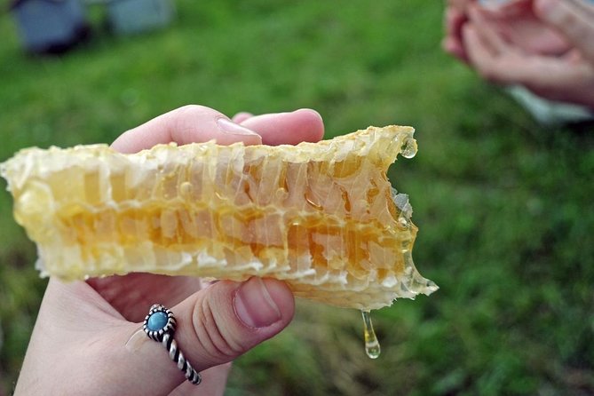 Beekeeping Day Trip| Private Guided Tour from Bucharest - Hive basics and a harvesting demonstration you can actually follow