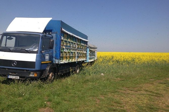 Beekeeping Day Trip| Private Guided Tour from Bucharest - Price of $413.44: what you’re really paying for
