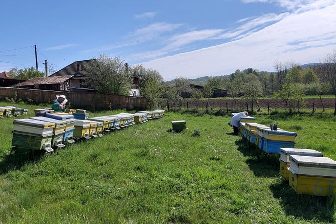 Bees Adventure in Romania - Private Day Trip from Bucharest - Traditional Romanian Lunch From Ecological Sources: Food That Complements the Theme
