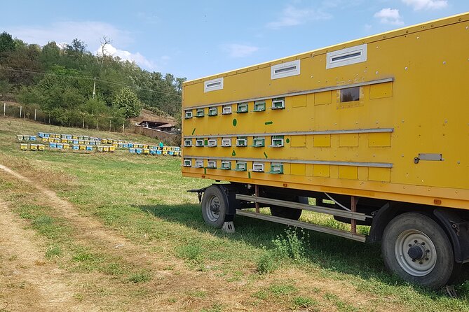Bees Adventure in Romania - Private Day Trip from Bucharest - Price and Value: Is $289.40 Per Person Worth It?