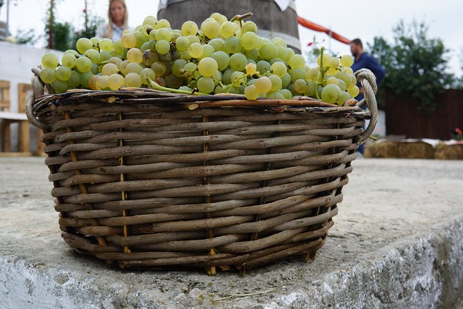 Bike & Wine tour in Dealu Mare wineland - Wine tastings at boutique cellars: what to expect during the pour