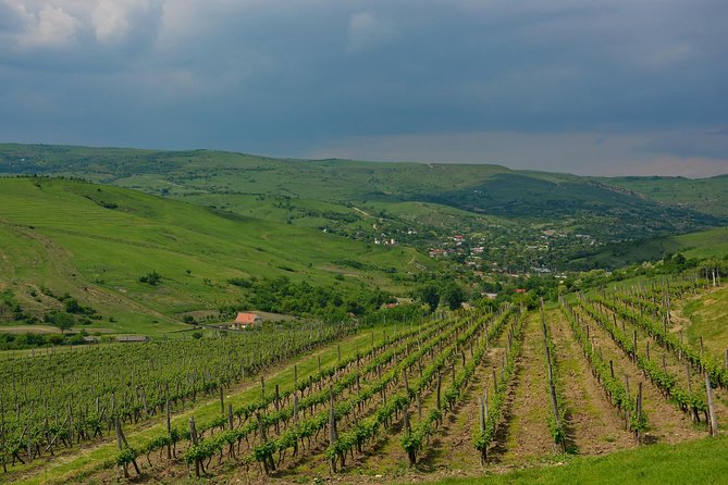 Bike & Wine tour in Dealu Mare wineland - Pacing, photos, and snacks: how the day stays fun while you switch gears