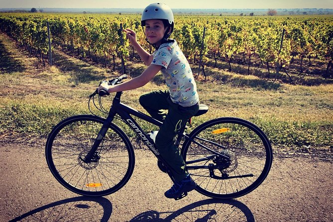 Bike & Wine tour in Dealu Mare wineland - Who this tour suits best, and who should think twice