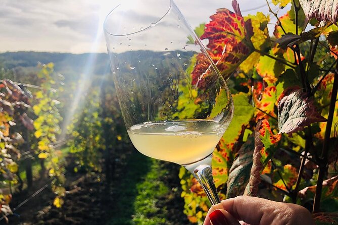 Bike & Wine tour in Dealu Mare wineland - What you pay for: value in transfers, gear, and tasting time