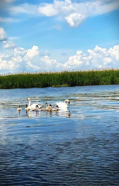 Boat Trip to Caraorman Forest – Danube Delta (6–7 hours) - Who this Danube Delta boat trip is best for