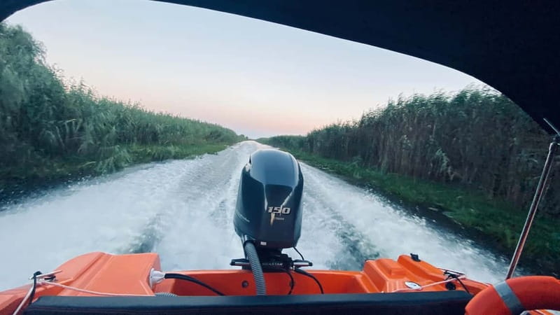 Boat Trip to Caraorman Forest – Danube Delta (6–7 hours) - Wildlife spotting that actually makes sense from the boat