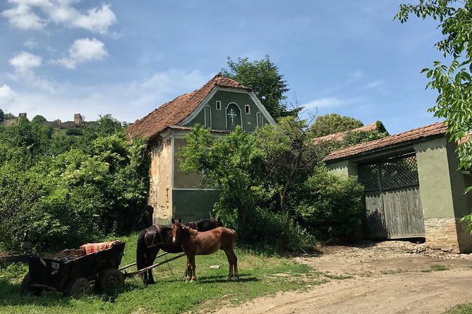 Bran and Rasnov Castles Tour from Brasov - Walking, weather, and comfort choices that help