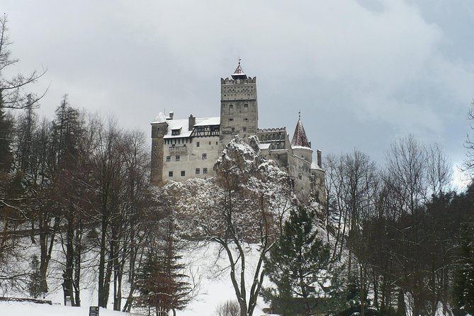 Bran Castle and more options private tour from Brasov - Stop 1: Liberty Bear Sanctuary Zarnesti (Option 2)