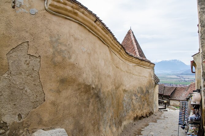 Bran Castle, Bear Sanctuary, and Rasnov Fortress Half Day Tour - Price and Value: What $85 Really Covers