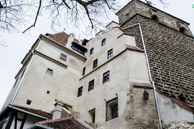 Bran Castle, Bear Sanctuary, and Rasnov Fortress Half Day Tour - Libearty Bear Sanctuary: A Big Space With a Rescue Mission