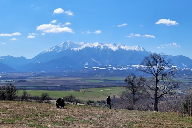 Bran Castle & Bear Sanctuary from Brasov - Optional Peles Castle - One-day Transylvania: bears and Bran Castle in the same rhythm