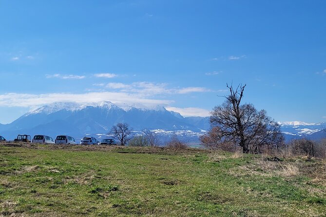 Bran Castle & Bear Sanctuary from Brasov - Optional Peles Castle - Bran Castle: Vlad the Impaler, crusades, and a fresh lens on the legend