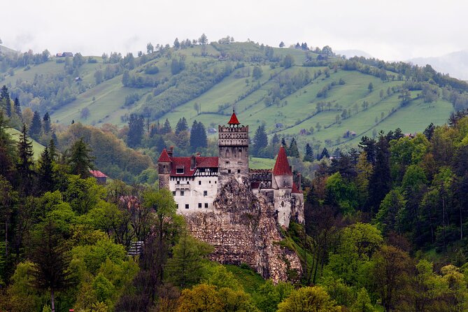 Bran Castle Entry Tickets - Entering Dracula’s Castle: layout, walking, and what your hour looks like