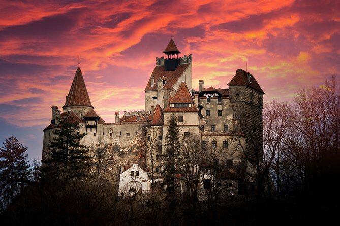 Bran Castle Entry Tickets - Royal garden time: Queen Maria’s Tea House and the outside calm
