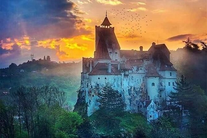 Bran Castle, Rasnov Fortress, Harman & Prejmer Fortified Churches Day Tour - Why this Brasov day tour fits first-timers and history lovers