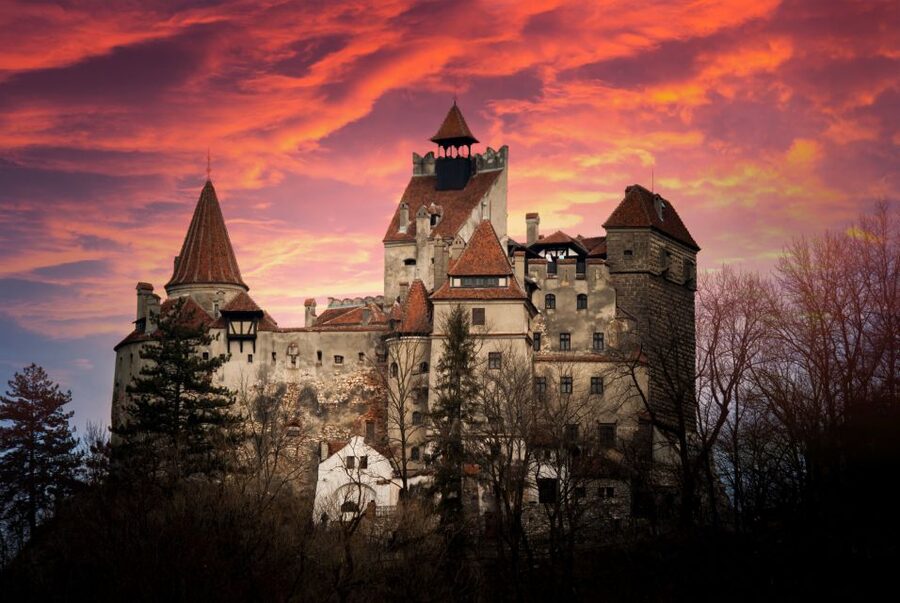 Bran: Guided Castle Tour - Key Things to Know Before You Go