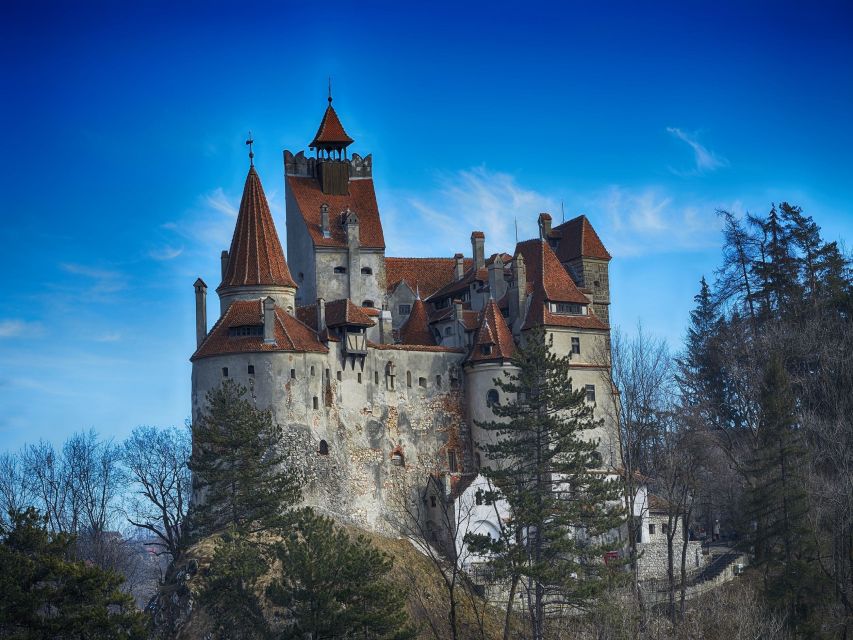 Bran: Guided Castle Tour - Timing Tips: Pick the Early Slot for a Smoother Visit