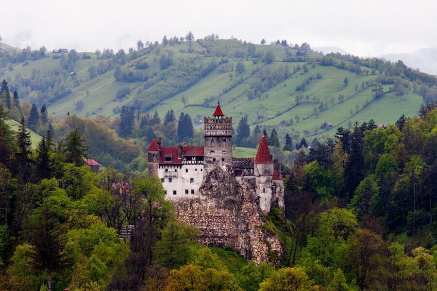 Bran: Guided Castle Tour - The Castle Route: 19 Rooms, a Secret Passage, and What You Will Actually See