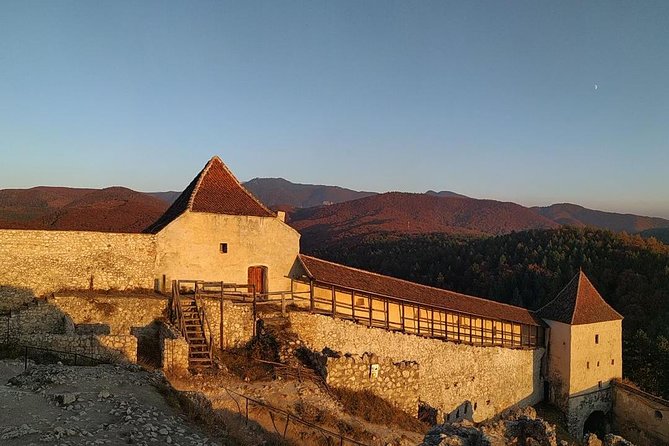 Brasov: Bear Sanctuary, Bran Castle & Rasnov Fortress GUIDED Tour - Who this tour is best for, and who should adjust expectations
