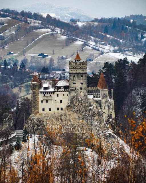 Brasov: Bear Sanctuary, Bran Castle & Rasnov Fortress Tour - A 1-day route from Brasov that actually works