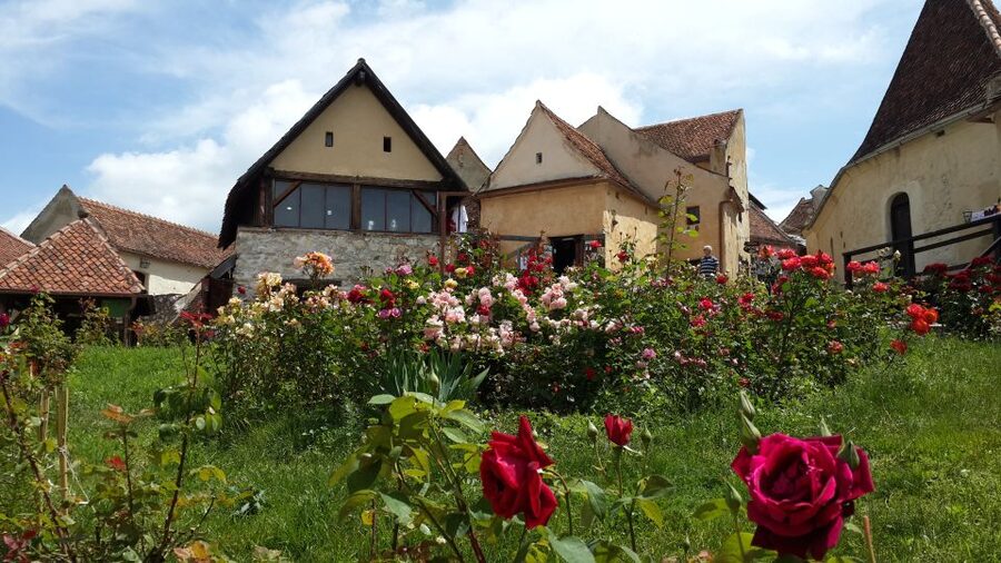 Brasov: Bear Sanctuary, Bran Castle & Rasnov Fortress Tour - Bran Castle and Vlad the Impaler: beyond the costume version of Romania
