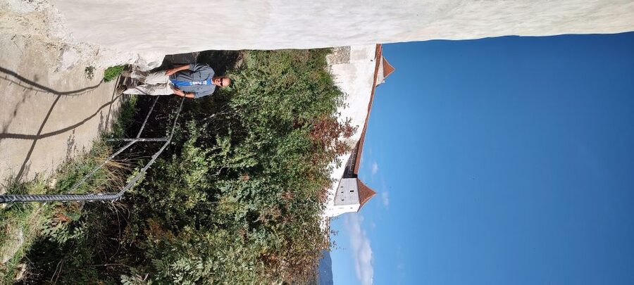 Brasov: Bear Sanctuary, Bran Castle & Rasnov Fortress Tour - Transport, included value, and what the $61 covers