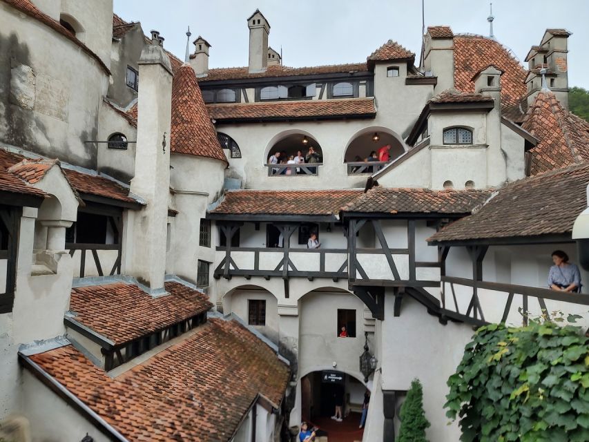 Brasov: Bear Sanctuary, Bran Castle & Rasnov Fortress Tour - Should you book this Brasov bear sanctuary, Bran Castle, and Rasnov Fortress tour?