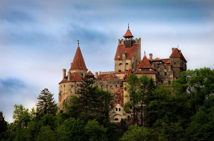 Brasov: Bear Sanctuary, Dracula Castle, and Râşnov Fortress - A 6-Hour Transylvania Hit From Brasov