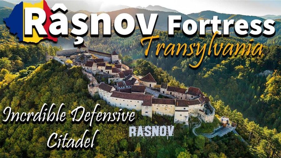 Brasov: Bear Sanctuary, Dracula Castle, and Râşnov Fortress - Price and What This Trip Really Costs You