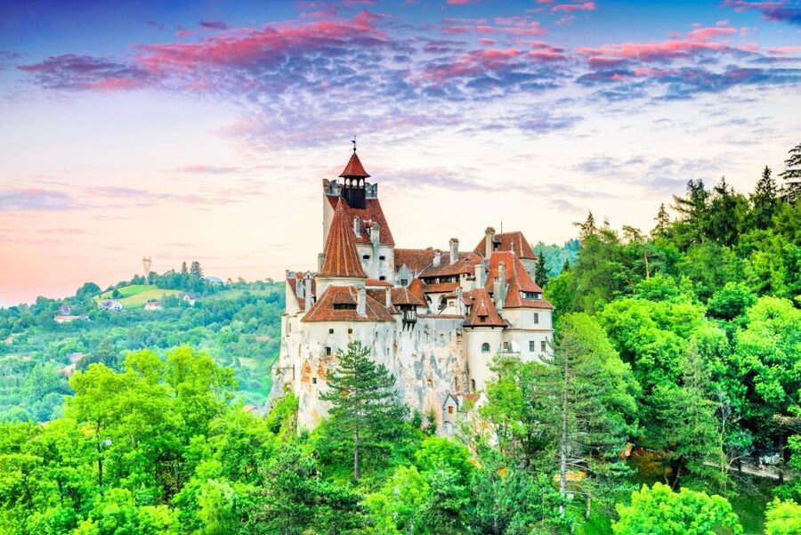 Brasov: Bear Sanctuary, Dracula Castle, and Râşnov Fortress - Booking Decision: Should You Do This Brasov Day Trip?