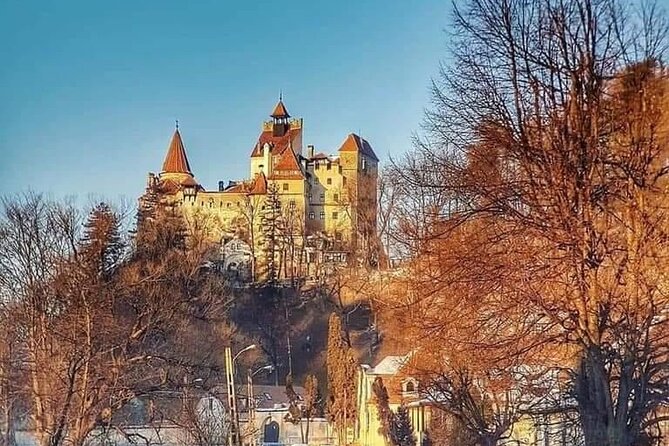 Brasov: Bears Sanctuary, Rasnov Fortress, Bran Castle GUIDED Tour - Comfort and timing: how the 8 hours likely feel