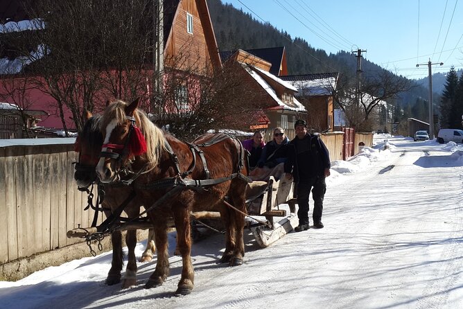 Brasov: Bears Sanctuary, Rasnov Fortress, Bran Castle GUIDED Tour - Your guide makes the day: Bogdan, Mimi, and the value of questions
