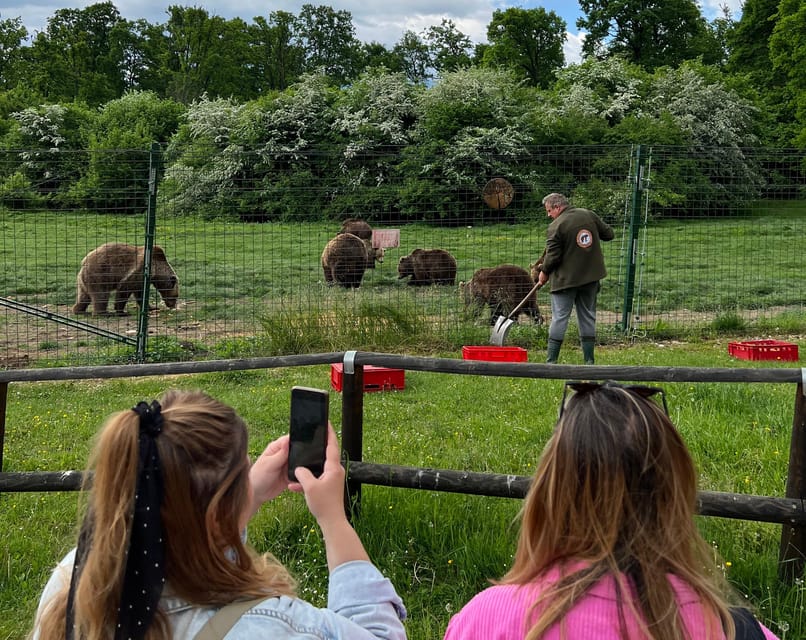 Brasov: Bran Castle, Bear Sanctuary, Rasnov (Peles Optional) - Key Takeaways Before You Go