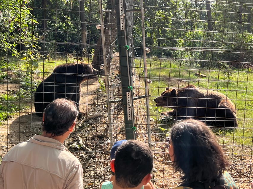 Brasov: Bran Castle, Bear Sanctuary, Rasnov (Peles Optional) - Who This Tour Fits Best, and Who Should Skip It