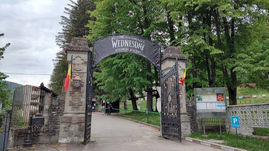 Brasov: Bran, Peles and Cantacuzino Castles Day Tour - Key highlights you’ll care about
