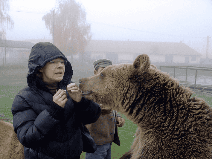 Brasov: Libearty Bear Sanctuary - Key Things That Make This Tour Work