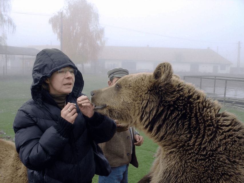 Brasov: Libearty Bear Sanctuary - Why Libearty Bear Sanctuary Is Worth the Drive from Brasov
