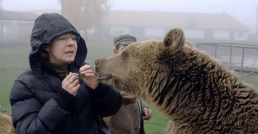 Brasov: Libearty Bear Sanctuary - First Steps at the Sanctuary: Tickets, Orientation, and Your Guide’s Role