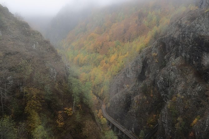 Brasov Private Tour: Transfagarasan road & Poienari Fortress - Poienari Fortress: Vlad the Impaler and the 1,480 stairs