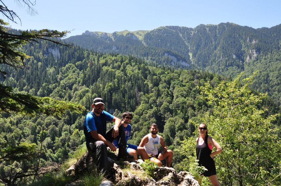 Brasov: Small-Group 7 Ladders Canyon Day Trip - The Bear Wall side trail: a change of pace after the main ladders