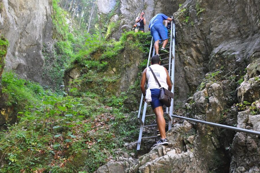 Brasov: Small-Group 7 Ladders Canyon Day Trip - Your return: choose 1.5 hours or go longer through forests and glades