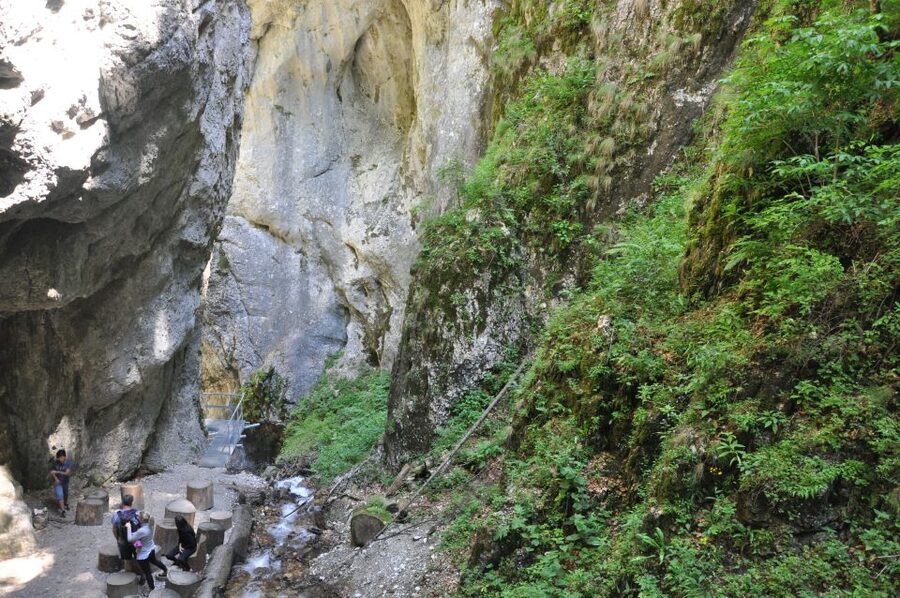 Brasov: Small-Group 7 Ladders Canyon Day Trip - What the guides do well in real life, not just on paper