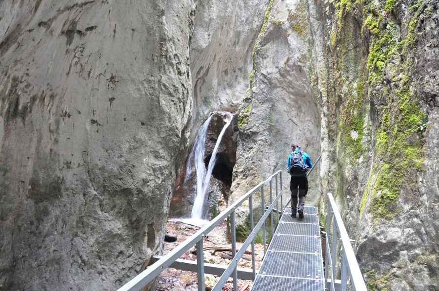 Brasov: Small-Group 7 Ladders Canyon Day Trip - What to bring and wear: waterproof hiking shoes are compulsory