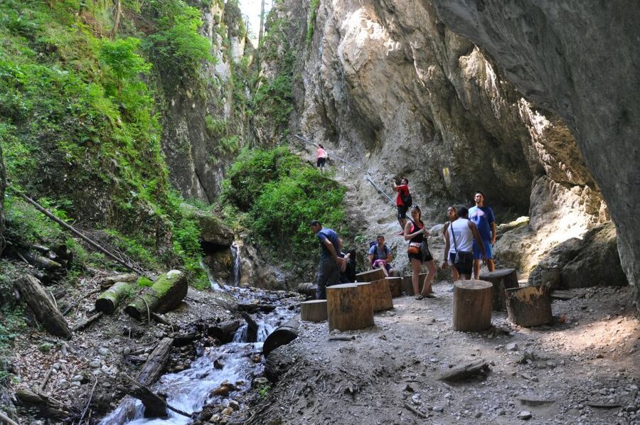 Brasov: Small-Group 7 Ladders Canyon Day Trip - Getting to the start: pickup from George Barițiu County Library