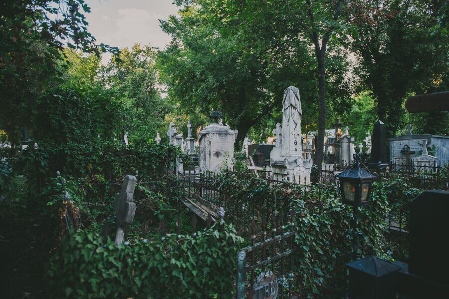 Bucharest: 3-Hour Dark History Tour with a Local - Little Paris and the interwar brothel remnants