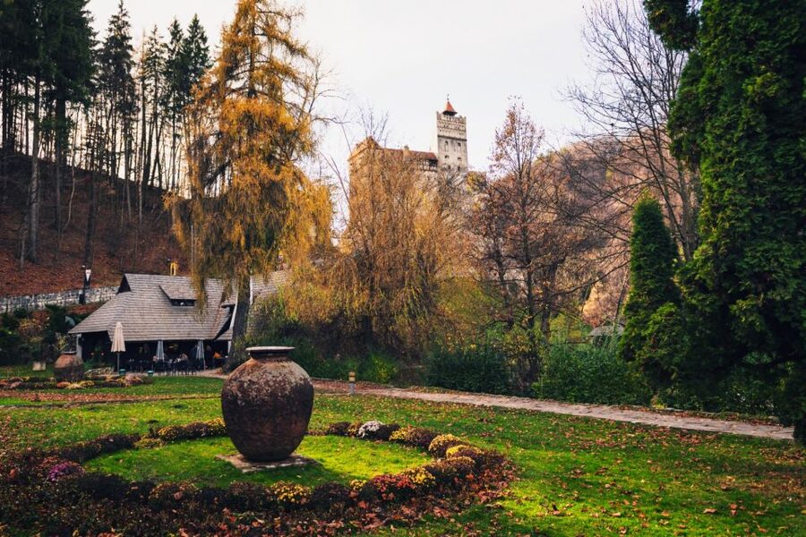 Bucharest: Bran Castle and Bear Sanctuary Small-Group Tour - Libearty Bear Sanctuary: A Hopeful Visit With Real Weight