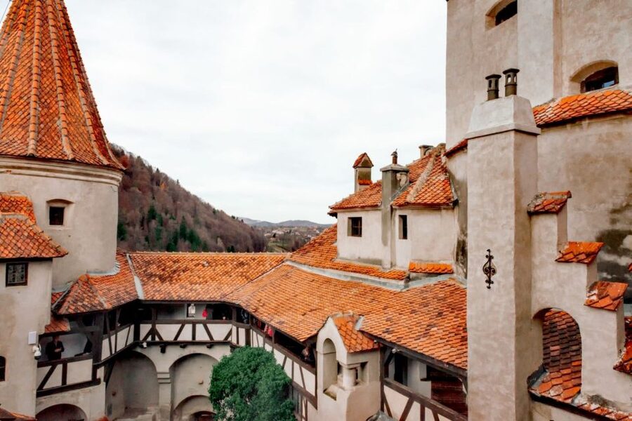 Bucharest: Bran Castle and Bear Sanctuary Small-Group Tour - Transportation, Timing, and the Reality of Traffic
