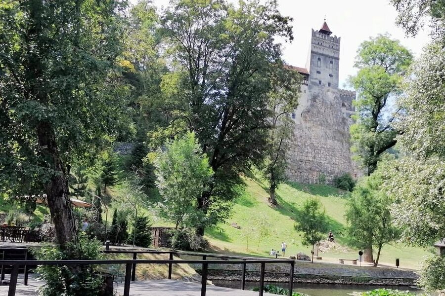 Bucharest: Bran Castle and Bear Sanctuary Small-Group Tour - Price and Value: Is $145 USD a Fair Deal?
