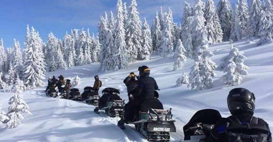 Bucharest: Carpathian Snowmobile / ATV Adventure Tour - Carpathian winter from Bucharest, without the hassle